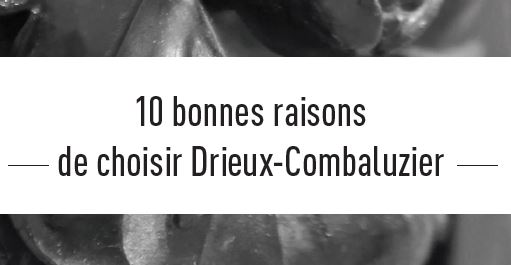 10 Bonnes raisons de choisir Drieux-Combaluzier